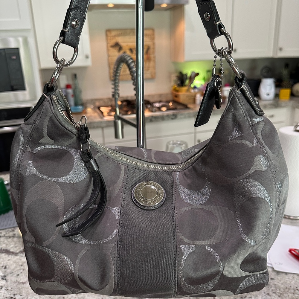 Coach Signature Metallic Hobo Bag